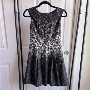 Ann Taylor Elegant Black and White Women's Dress